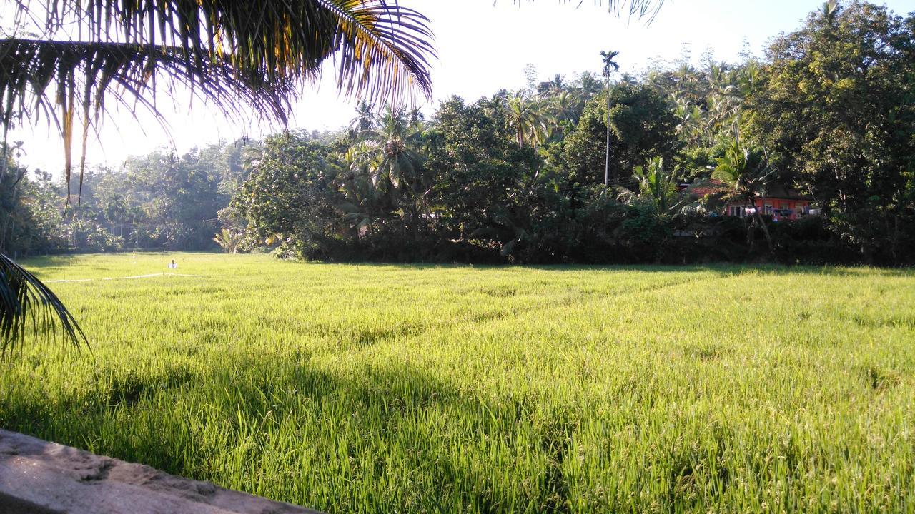מיריסה Villa Paddy Fields View מראה חיצוני תמונה